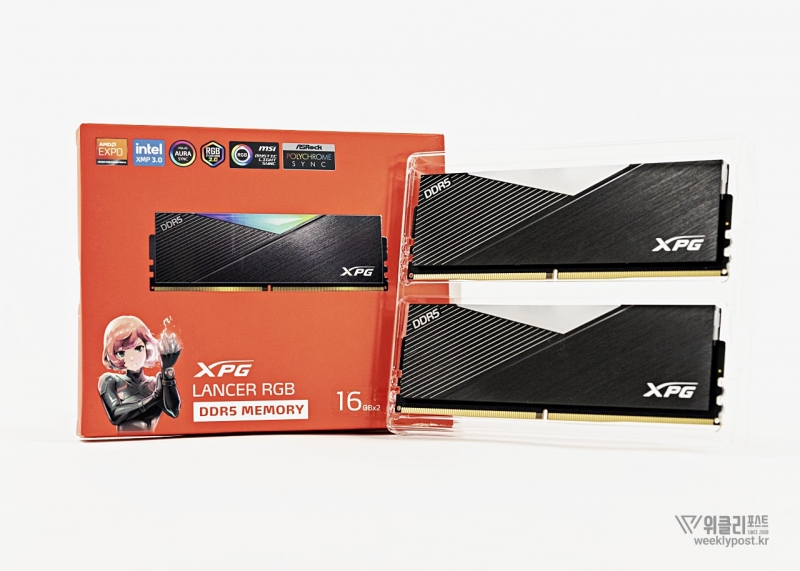 511495 ORICO DDR5 32GB 6400MHz Amazon.co.jp: ORICO Raceline